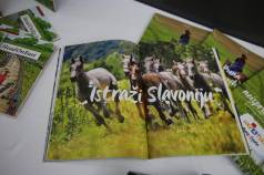 Mini IMG 5045
